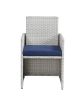 ACME Paitalyi 9Pc Patio Set, Blue Fabric & Wicker (1Set/3Ctn) 45075